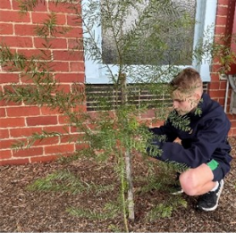 William Grenier Year 8 L21