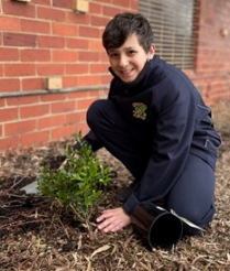 Marco Cavalieri Year 7 L21